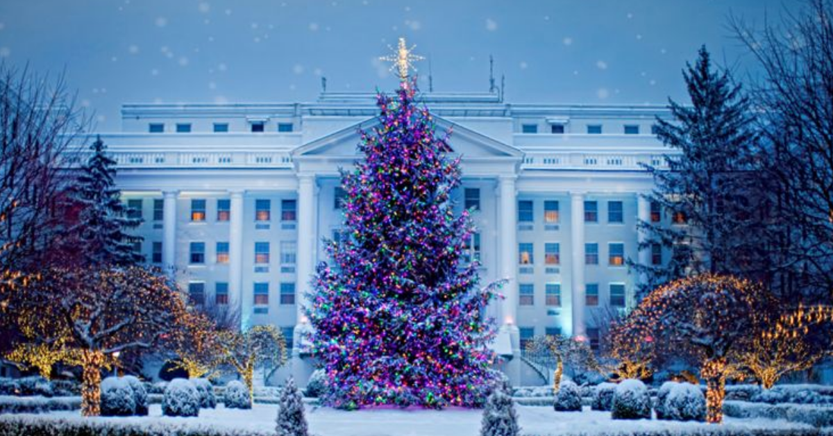 Senior Saints Activity